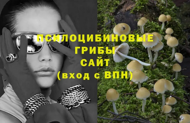 Псилоцибиновые грибы MAGIC MUSHROOMS  наркотики  Воркута 